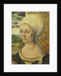 Portrait of Elsbeth Tucher by Albrecht Dürer