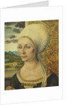 Portrait of Elsbeth Tucher by Albrecht Dürer