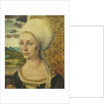 Portrait of Elsbeth Tucher by Albrecht Dürer