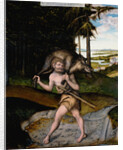 Heracles and the Erymanthian Boar by Lucas Cranach the Elder