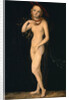 Venus by Lucas Cranach the Elder