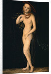 Venus by Lucas Cranach the Elder