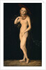 Venus by Lucas Cranach the Elder