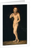 Venus by Lucas Cranach the Elder