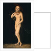 Venus by Lucas Cranach the Elder