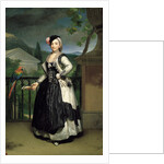 Portrait of Isabel Parreno Arce Ruiz de Alarcon y Valdés, Marchioness of Llano by Anton Raphael Mengs