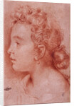 Portrait of Faustina Maratti by Carlo Maratta
