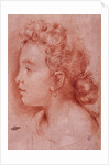 Portrait of Faustina Maratti by Carlo Maratta