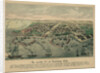 The Odessa Map by Anonymous