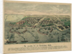 The Odessa Map by Anonymous