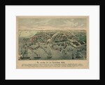 The Odessa Map by Anonymous