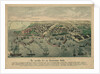 The Odessa Map by Anonymous