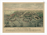 The Odessa Map by Anonymous