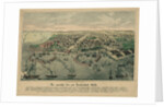 The Odessa Map by Anonymous