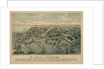 The Odessa Map by Anonymous