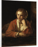 The Kitchen Maid by Rembrandt van Rhijn