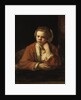 The Kitchen Maid by Rembrandt van Rhijn