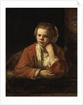 The Kitchen Maid by Rembrandt van Rhijn