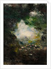 Wonderland by August Strindberg