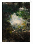 Wonderland by August Strindberg