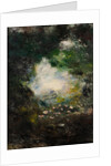 Wonderland by August Strindberg