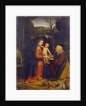 The Rest on the Flight into Egypt by Andrea Solari