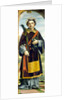 Saint Stephen by Bernardo Zenale