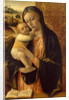 Virgin and Child by Vincenzo Foppa