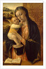 Virgin and Child by Vincenzo Foppa