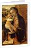 Virgin and Child by Vincenzo Foppa