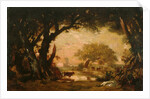 Clearing in the Woods of Fontainebleau by Théodore Rousseau