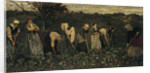 Workers on the beet field by Max Liebermann