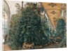 Interior of the Palm House of Lednice Palace by Rudolf von Alt