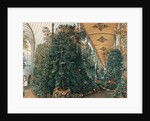 Interior of the Palm House of Lednice Palace by Rudolf von Alt