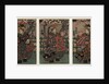 Courtesans Shigeoka, Sugatano and Hanamurasaki. Triptych by Anonymous