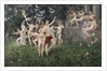 Festival of Spring (Allegoric Scene) by Karel Vitezslav Masek