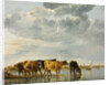 Cows in a River by Aelbert Cuyp