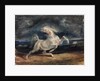 Horse Frightened by Lightning by Eugène Delacroix