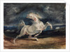 Horse Frightened by Lightning by Eugène Delacroix
