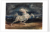 Horse Frightened by Lightning by Eugène Delacroix