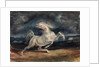 Horse Frightened by Lightning by Eugène Delacroix