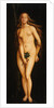 Eve by Hans Baldung