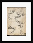 Studies of Horses Leg by Leonardo da Vinci