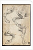 Studies of Horses Leg by Leonardo da Vinci