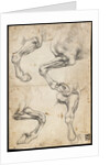 Studies of Horses Leg by Leonardo da Vinci