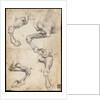 Studies of Horses Leg by Leonardo da Vinci