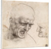 Study of Two Warriors Heads for the Battle of Anghiari by Leonardo da Vinci