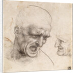 Study of Two Warriors Heads for the Battle of Anghiari by Leonardo da Vinci