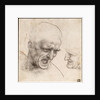 Study of Two Warriors Heads for the Battle of Anghiari by Leonardo da Vinci
