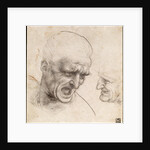 Study of Two Warriors Heads for the Battle of Anghiari by Leonardo da Vinci